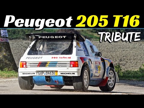 Peugeot 205 T16 Evo 2 - Group B Rally Legend Tribute - Engine Sound & Exhaust Flames! 💥