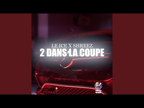 2 Dans La Coupe (feat. Shreez)