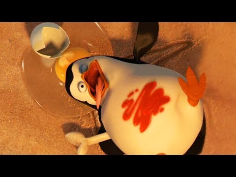 DreamWorks Madagascar | Operation Tourists Trap - Clip | Madagascar: Escape 2 Africa | Kids Movies
