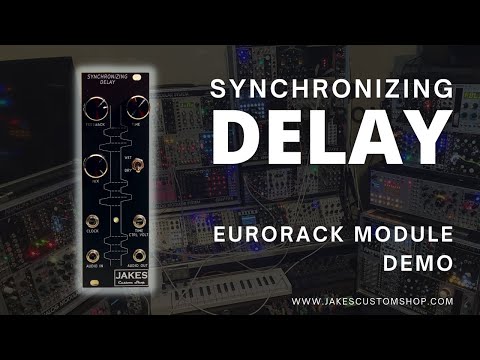 Jakes Custom Shop Synchronizing Delay Eurorack Module image 2