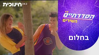 Cover art for בחלום