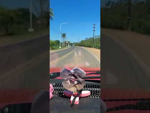 Visitando la ciudad de Ituzaingó, Corrientes 