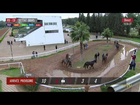 Live Hippodrome « SETTAT » Courses du « 20/12/2025 »