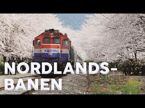 Cab Ride of Nordlandsbanen, Spring│Trondheim-Bodø │Train Driver's View / Zug Führerstandsmitfahrt
