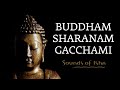 Buddham Sharanam Gacchami Sadhguru Explains This Popular Buddhist Chant Buddha Purnima