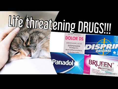 DRUGS CONTRAINDICATED IN CATS| SHOULD NOT BE GIVEN