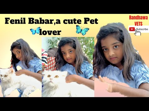 Baby with pets|baby and cats|rving with cats|baby pet owner|Fenil Babar