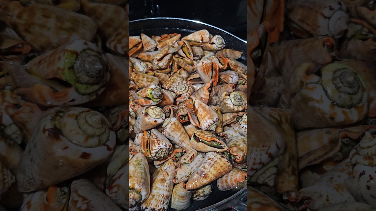 トビンニャ　 #マガキガイ