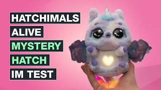 HATCHIMALS ALIVE Spielzeug im Test - Mystery Ei Pufficorn - Das andere Furby? | Testventure
