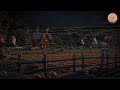 Peaceful Pumpkin Farm Autumn Ambience With Relaxing Night Nature Sounds Crunchy Leaves For Sleeping