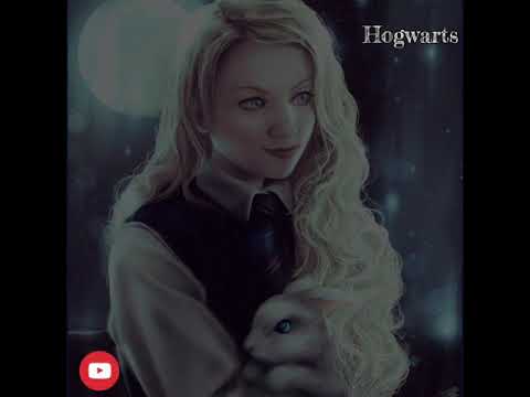 Hogwarts Școala Pentru Vrăjitoare Si Vrăjitori