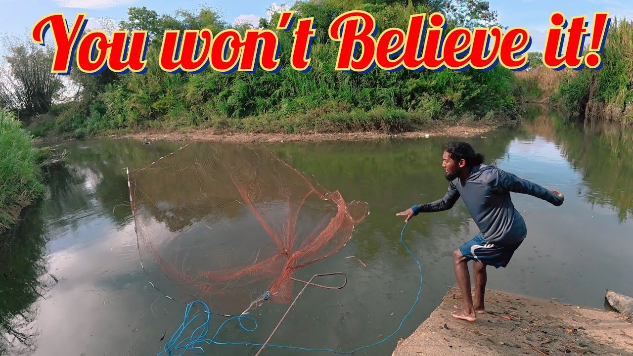 Fishing to Survive in Trinidad 🇹🇹 | Caiman Infested Waters For Cascadoo, Tilapia, Texas & Wabeen 