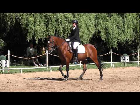 Campeonato Navarro de Doma 2015 Añézcar 4