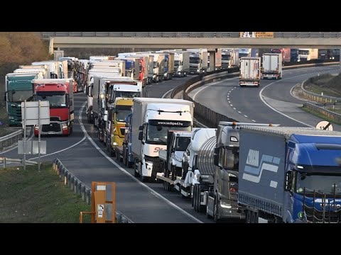 Austria closes off 24 border crossings with Hungary, Slovakia after foot-and-mouth disease outbreak