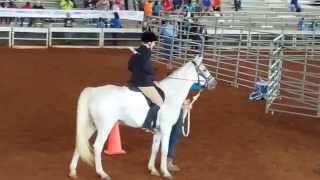 preview picture of video 'Kimberly Special Olympics 2014 Equitation'