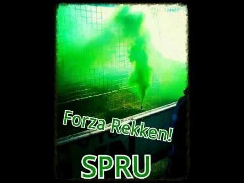 Sfeeractie van de SPRU! SP Rekken - Bentelo  7-4-2013