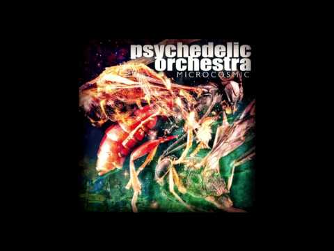 Psychedelic Orchestra "Apollo 17"