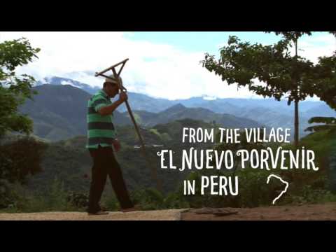 HTM 4336 SEM 006 Group 4