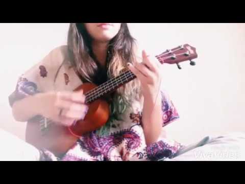 Seres Vivos Da Floresta video
