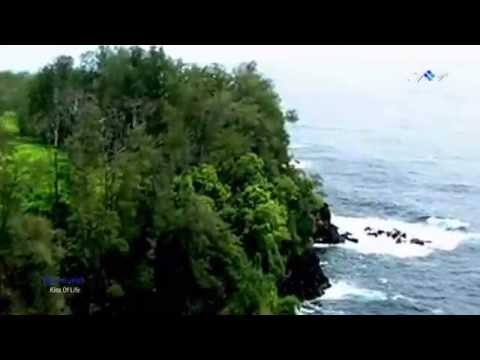 ♡ Kiss Of Life - RYAN FARISH (relaxing music)