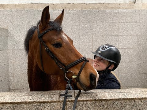 NANU NANA 7j. Deutsches Reitpony for sale VB 8.000,- Euro