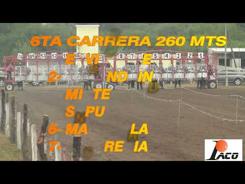 ENVIDIABLE  HIPODROMO DON SOHAR CRUZ DEL EJE 08 05 2022