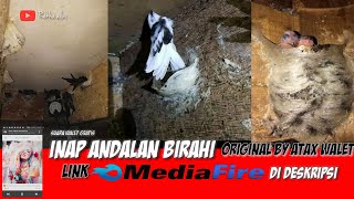 Download lagu SUARA INAP ANDALAN BIRAHI original atax walet - COCOK UNTUK RBW STAGNAN mp3