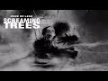 Screaming Trees - More Or Less