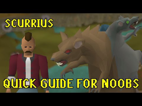 OSRS Scurrius Ultimate Quick Guide FOR NOOBS (best first boss)