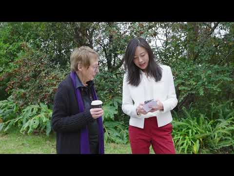 Auction  - 38 Robinson Street, East Lindfield - Jessica Cao | Ray White Upper North Shore