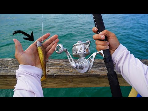 Fishing Piers for Tarpon on YouTube