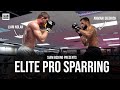 Elite Pro Sparring - Ft Liam Nolan, Ammari Diedrick - 4DMMA