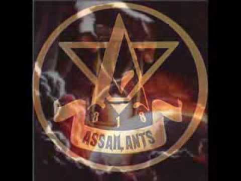 REVELATIONS - ASSAILANTS FT. DJ 311