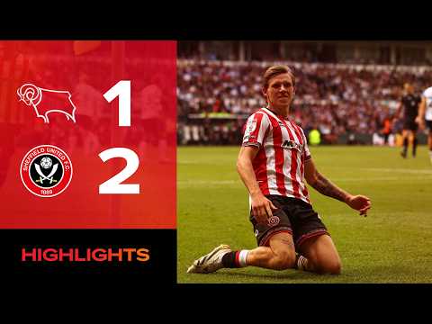 bg-highlight