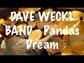 DAVE WECKL BAND - PANDA'S DREAM | Drum Performance by Mario Klaric