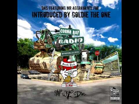 DNS feat Aggravated Foe ( introduced by Goldie the One) - Till we Die