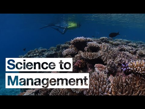 How we use science to manage the Great Barrier Reef | Great Barrier Reef Marine Park Authority