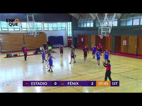 Final 2 Serie +45 - FÉNIX CARAHUE  VS ESTADIO ARAUCANÍA