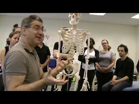 Abdominal Massage: theoretical background