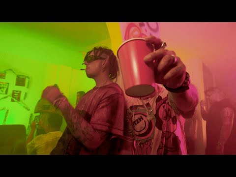 M2H - FLY | HOMIES & BEACHES [VISUALIZER]