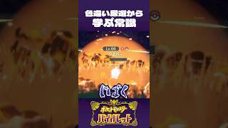 色違い厳選から、学ぶ常識【ポケモンSV】