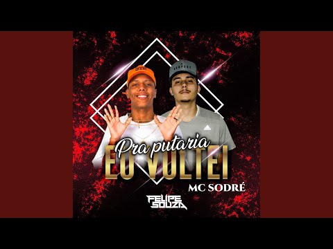 Pra Putaria Eu Voltei