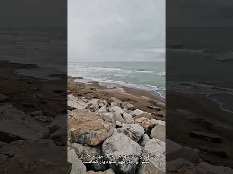 ساحل دریاکنار