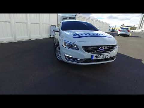 Aardvark Video video.