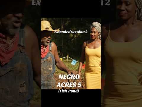 NEGRO ACRES (Ext Vers) 2