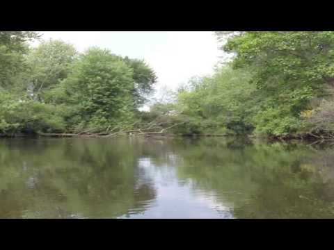Kayaking on the Still River; Harvard, Mass