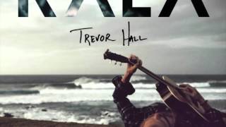 Trevor Hall - Forgive feat. Luka Lesson (With Lyrics)
