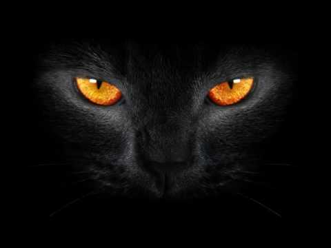 Macklemore & Carnage - Thrift Incredible Shop [Dj Trent Mashup]