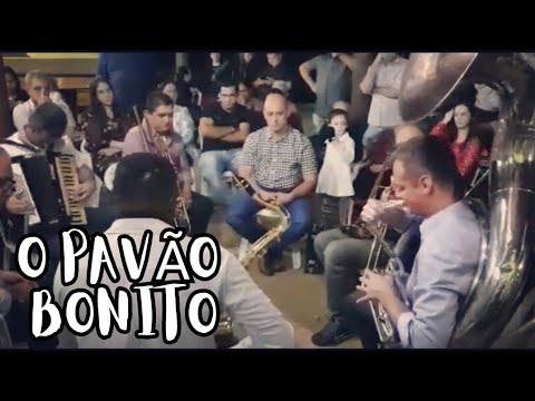 TOCATA PAVÃO BONITO - BETTINHO DANDO SHOW NO SOUSAFONE ( DVD COMPLETO )