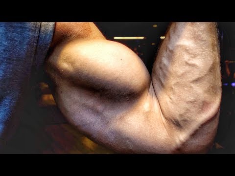 Alon Gabbay vs. Patrick Reiser